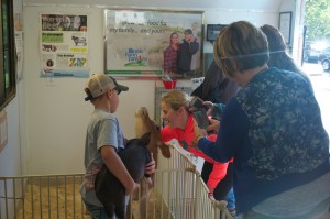Students and their families visit the petting zoo at the farmers market during Bradley’s Family Weekend. Other events included a balloon artist, local produce vendors and an inflatable obstacle course. Photo by Moira Nolan.