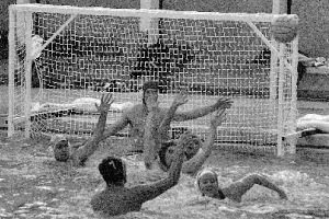 The water polo team plays in its first game of the season on Friday night. The team played Lindenwood University St. Louis in three scrimmages and one game. Although suffering losses, the team is hopeful for the season to come. Photo by Megan Loos