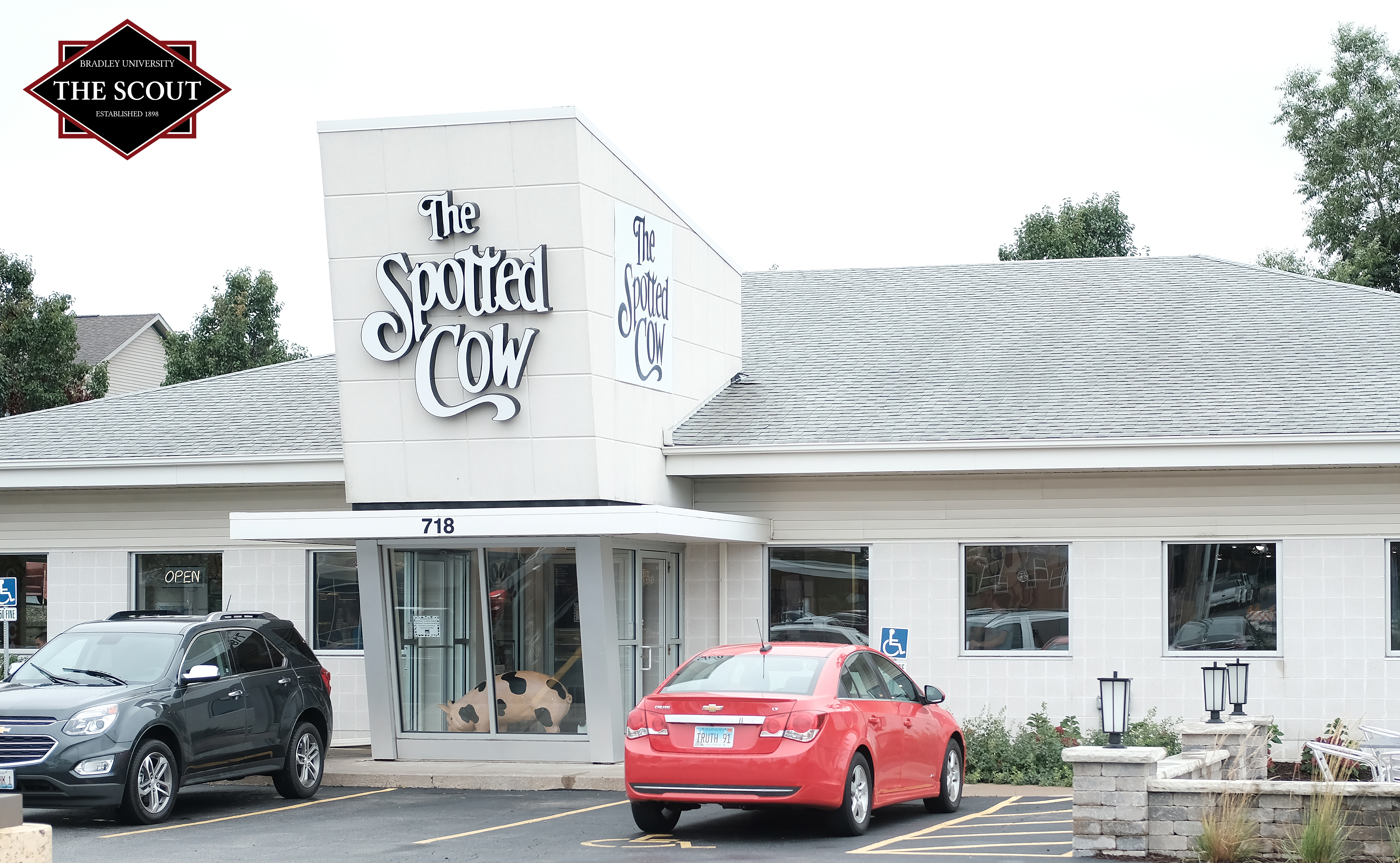 The Spotted Cow is dairy good The Bradley Scout