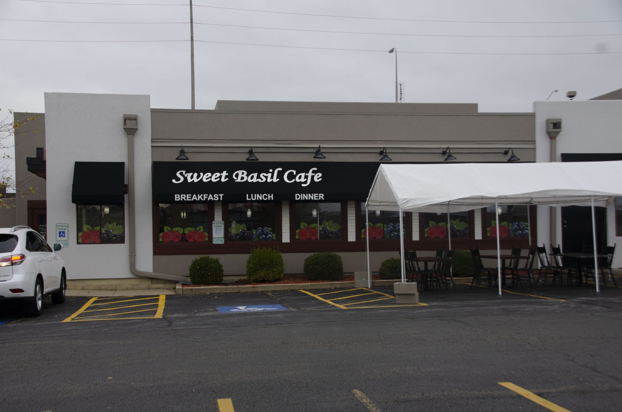 Rate my plate Sweet Basil Cafe The Bradley Scout